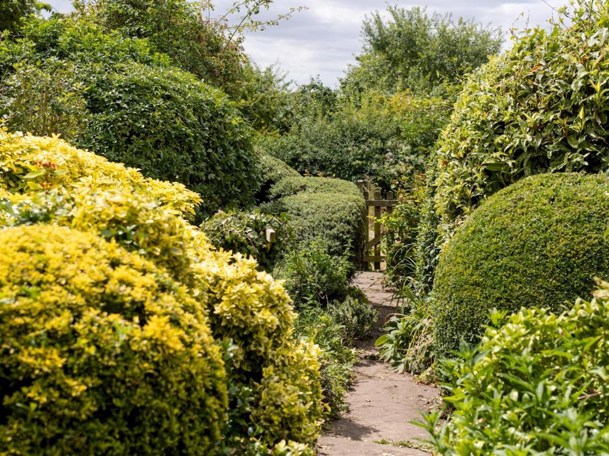 Pass The Keys Cosy Cottage With Views Over The Shropshire Hills 러들로 외부 사진